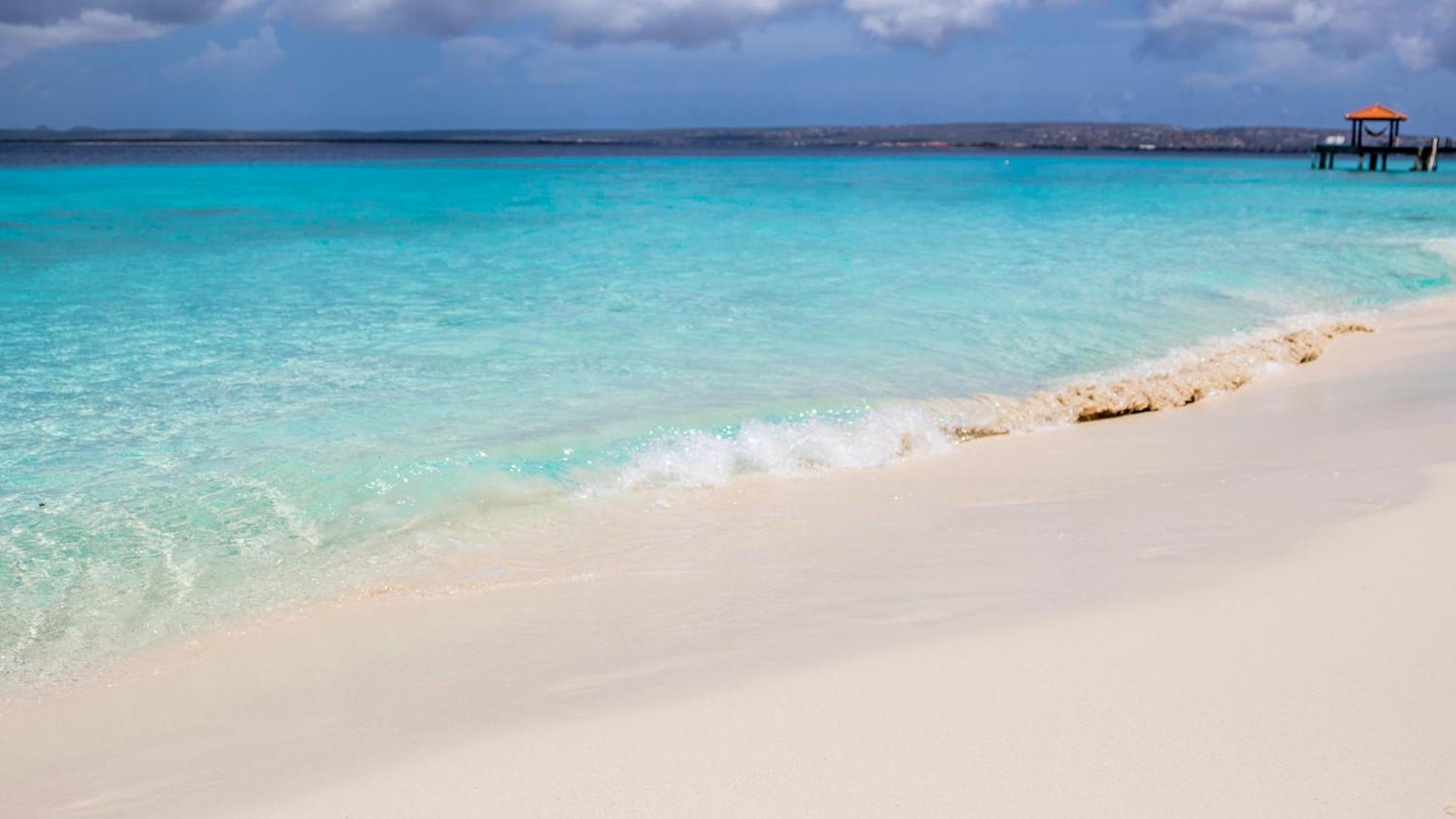 Isla Penthouse & Garden Apartments Bonaire Kralendijk  Ngoại thất bức ảnh