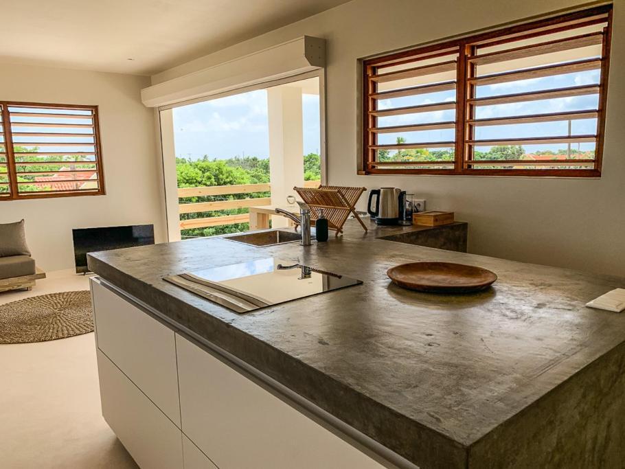 Isla Penthouse & Garden Apartments Bonaire Kralendijk  Ngoại thất bức ảnh